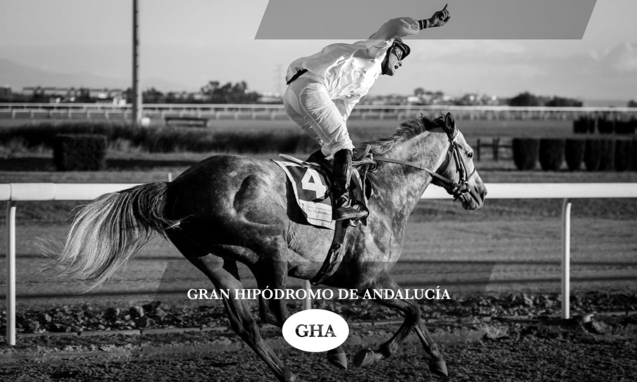 hipódromo-Andalucía-globaltec